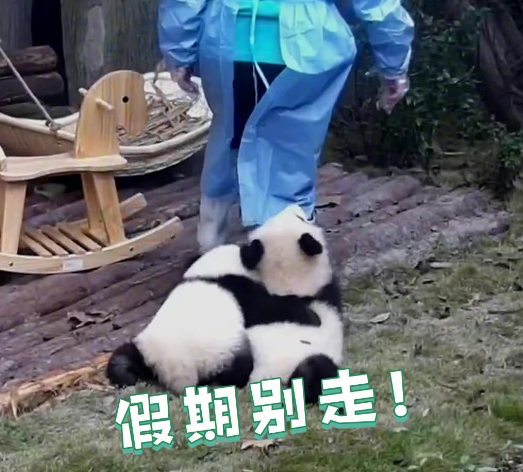 返程高峰不怕堵，至上音樂旗下車載音響讓你暢享音樂盛宴！